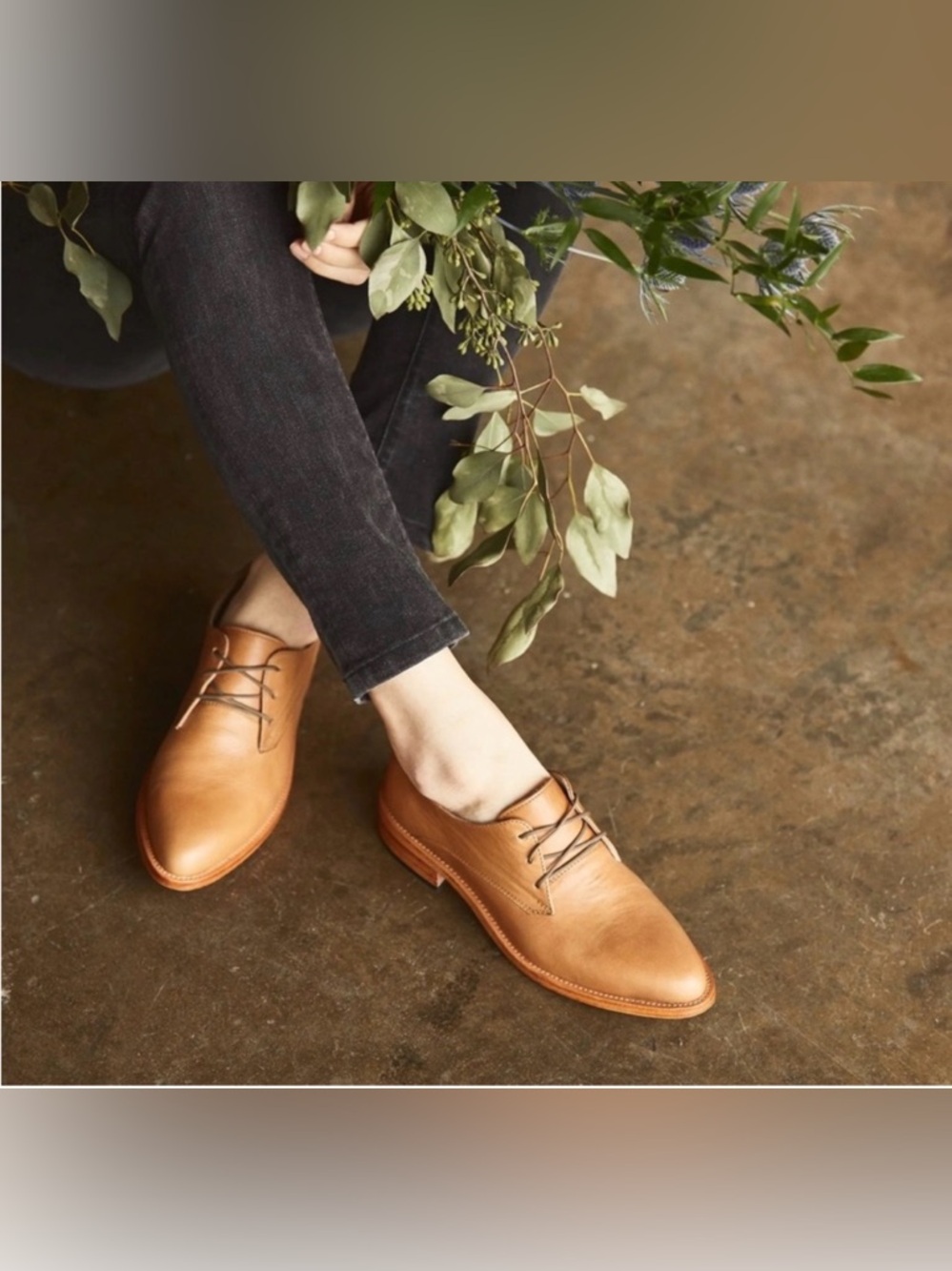 Nisolo James Light Academia Oxford Shoes